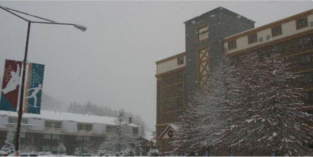 Wisp Resort Hotel And Conference Center 麦克亨利 外观 照片