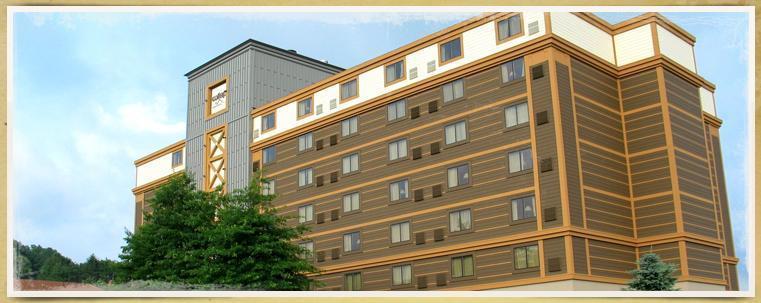 Wisp Resort Hotel And Conference Center 麦克亨利 外观 照片