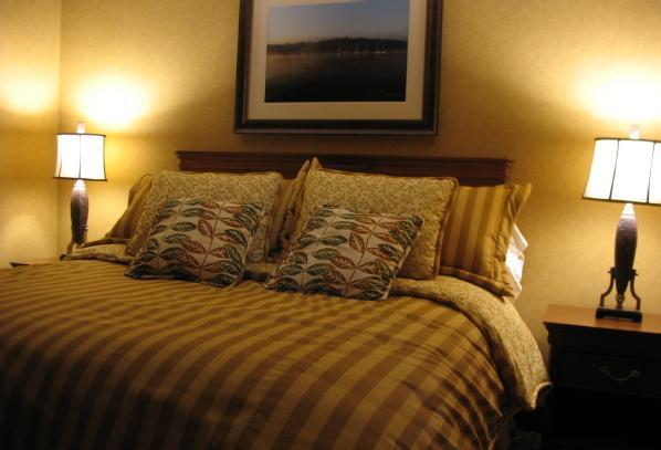 Wisp Resort Hotel And Conference Center 麦克亨利 外观 照片