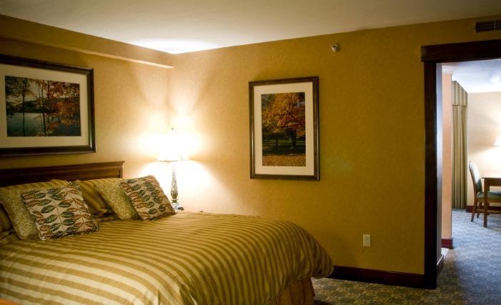 Wisp Resort Hotel And Conference Center 麦克亨利 外观 照片